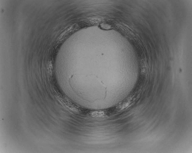 X0000076100279200610152351