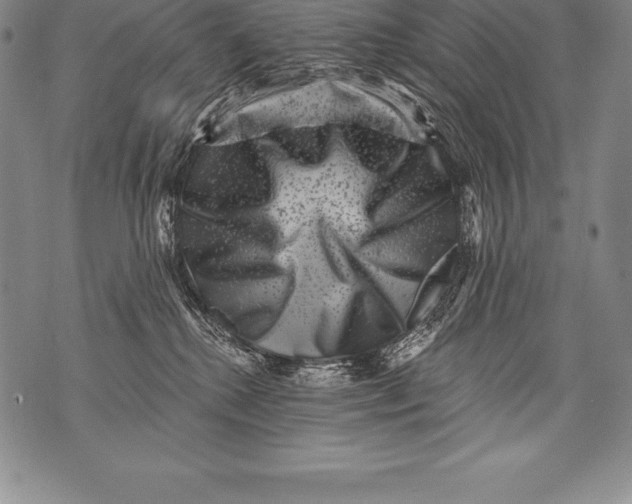 X0000076100280200610152351