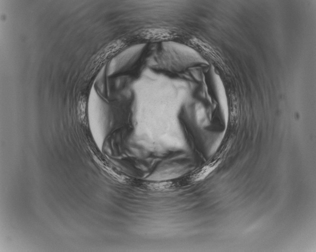 X0000076100281200610152351