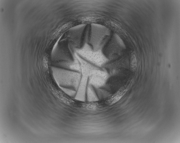 X0000076100282200610152351