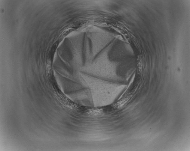 X0000076100283200610152351