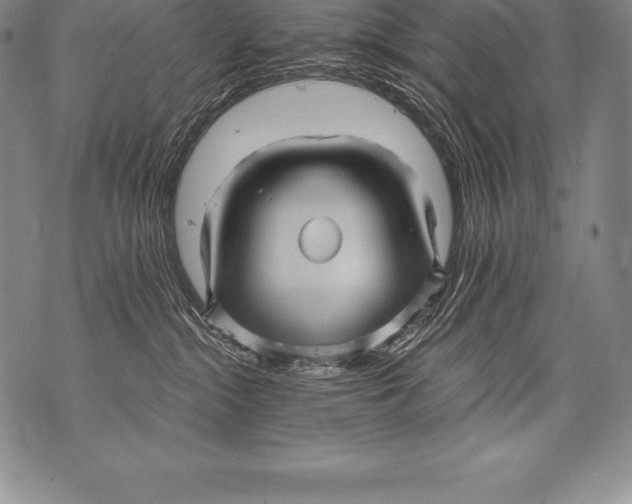 X0000076100284200610152351