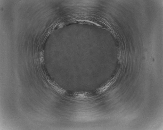 X0000076100285200610152351