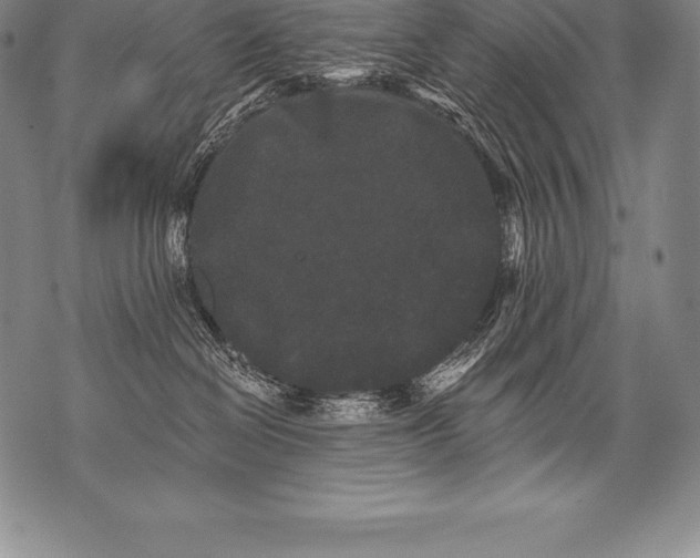 X0000076100286200610152351