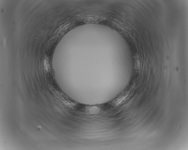 X0000076100287200610152351