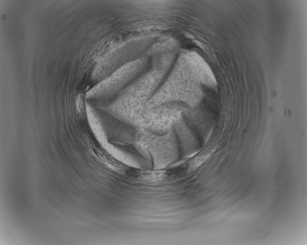 X0000076100288200610152351