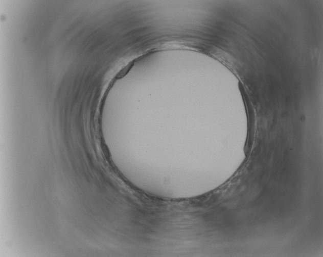 X0000076100289200610152350