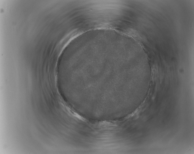 X0000076100290200610152350