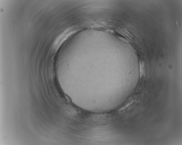 X0000076100291200610152350