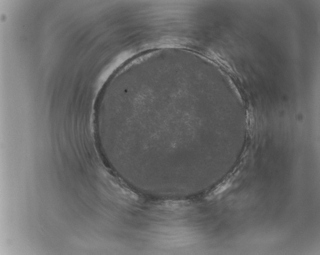 X0000076100292200610152350