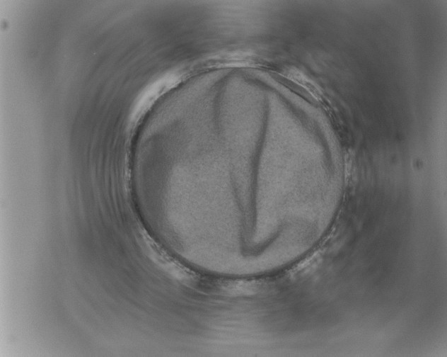 X0000076100293200610152350