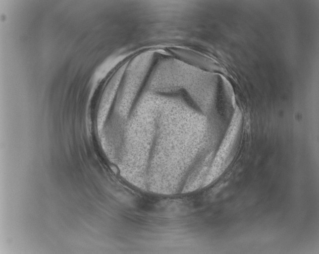 X0000076100294200610152350