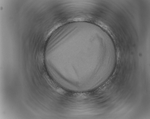 X0000076100297200610152350