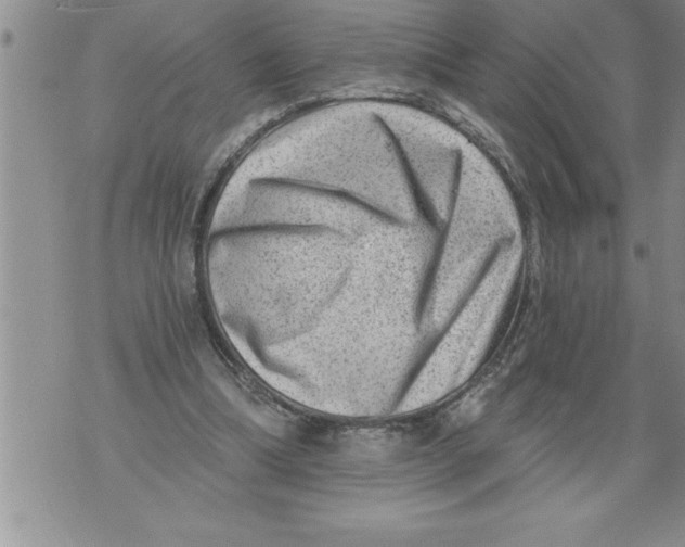 X0000076100298200610152350