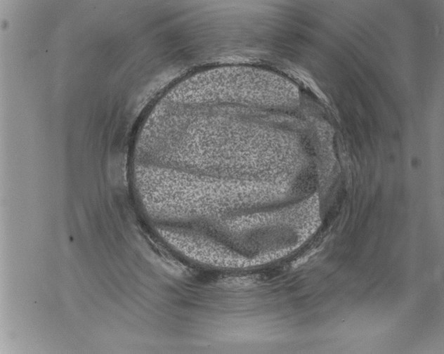 X0000076100299200610152350