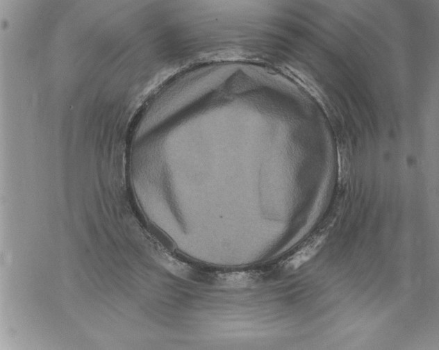 X0000076100301200610152350