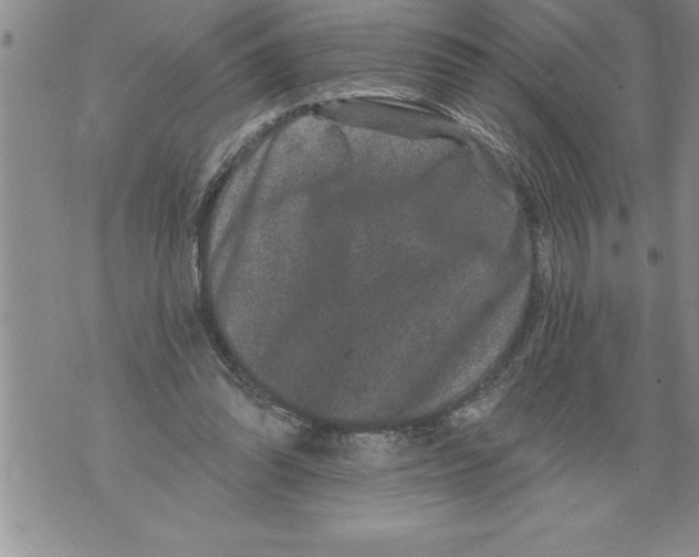 X0000076100302200610152350