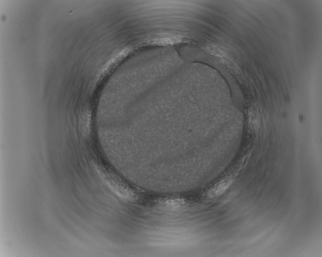 X0000076100304200610152350