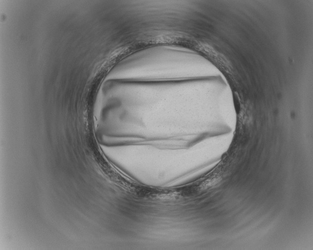 X0000076100306200610152350