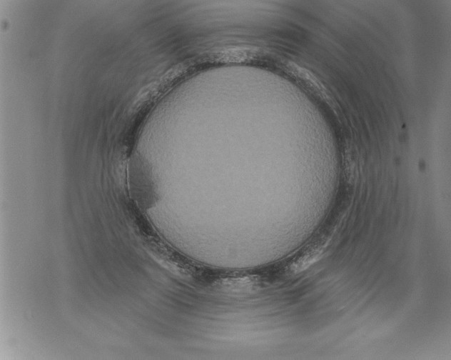 X0000076100307200610152350