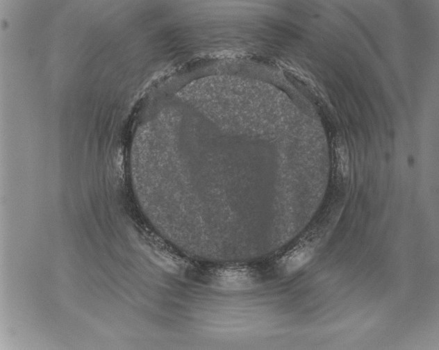 X0000076100308200610152350