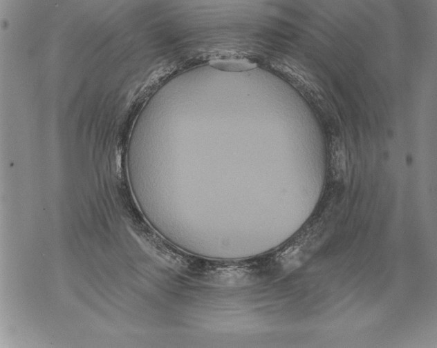 X0000076100310200610152350