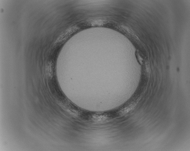 X0000076100311200610152350