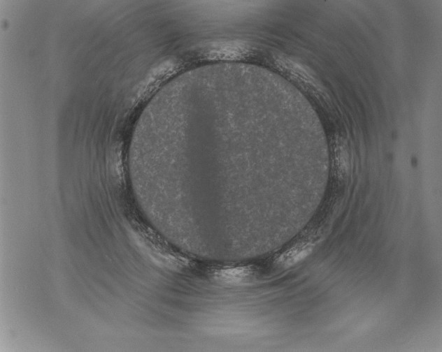 X0000076100312200610152350