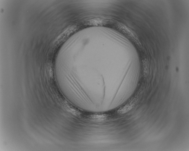 X0000076100313200610152350