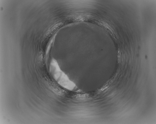 X0000076100314200610152350