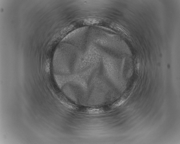 X0000076100315200610152350