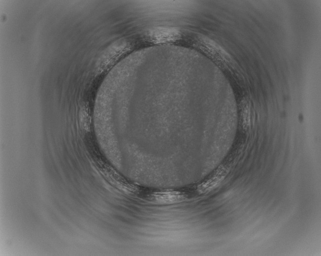 X0000076100316200610152350