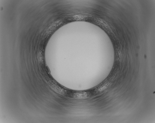 X0000076100317200610152350