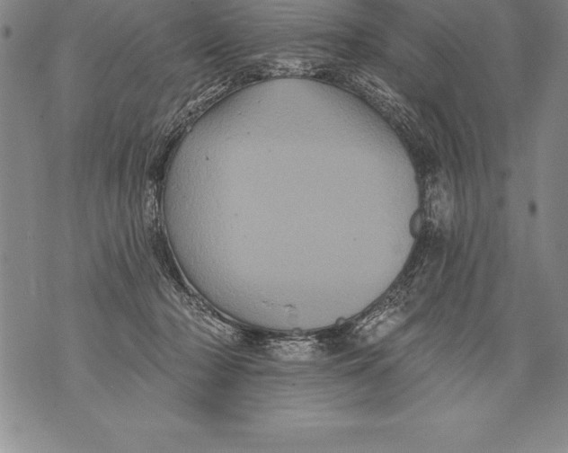 X0000076100318200610152350