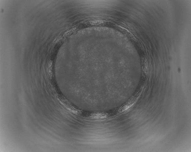 X0000076100319200610152350