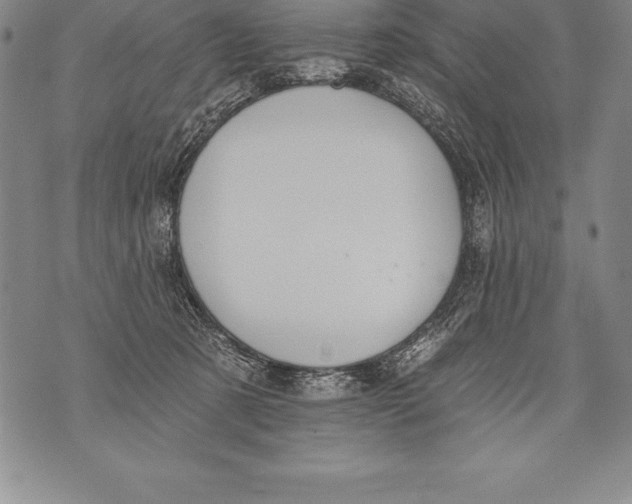 X0000076100321200610152350