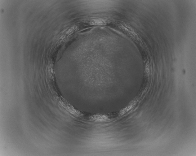 X0000076100322200610152350