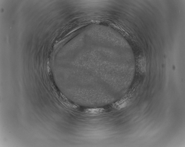 X0000076100323200610152350