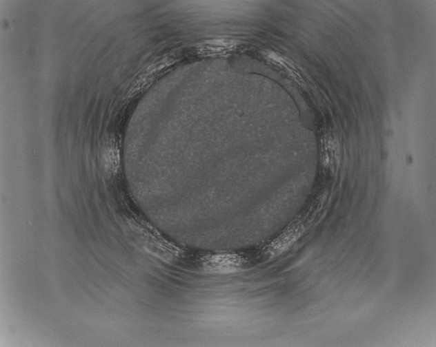 X0000076100324200610152350