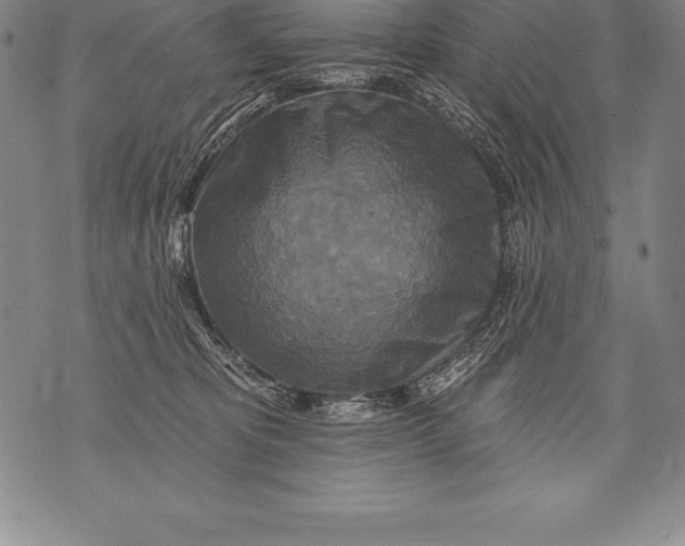 X0000076100325200610152350