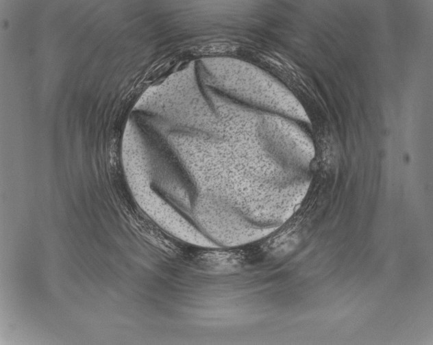 X0000076100326200610152350