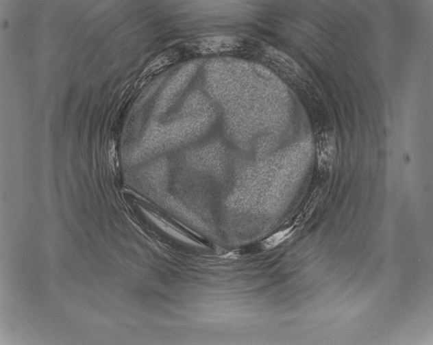 X0000076100327200610152350