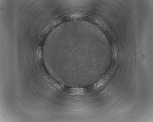 X0000076100328200610152350