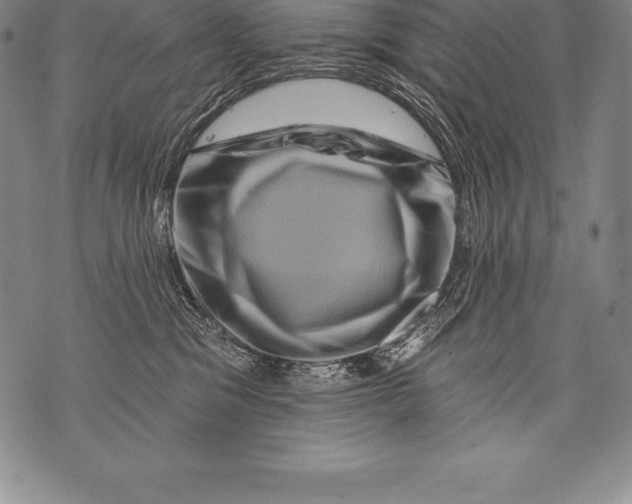 X0000076100329200610152350