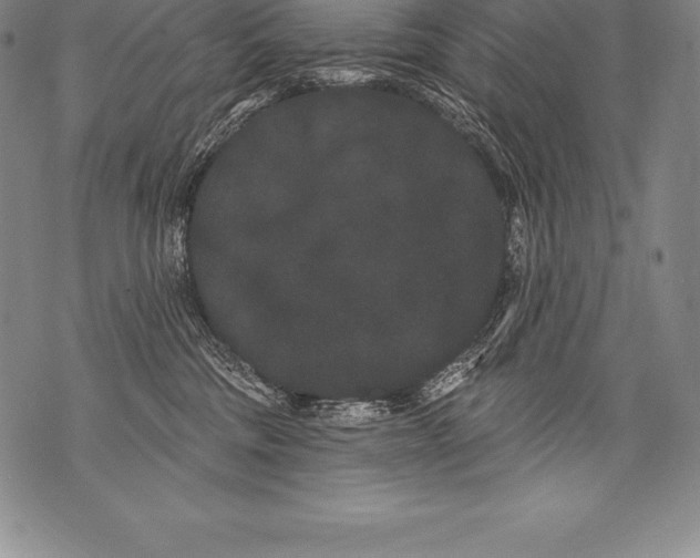 X0000076100330200610152350