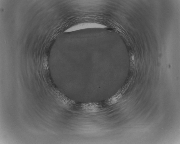 X0000076100331200610152350