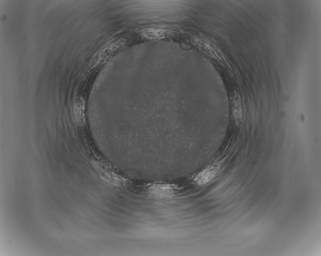 X0000076100332200610152350