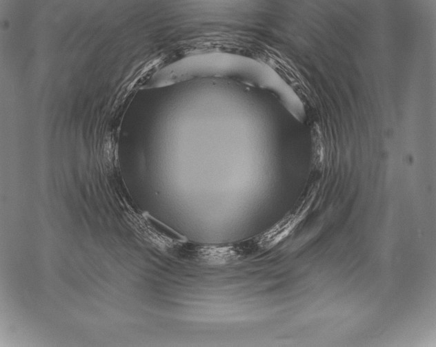 X0000076100333200610152350