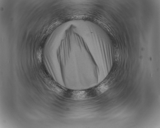 X0000076100334200610152349