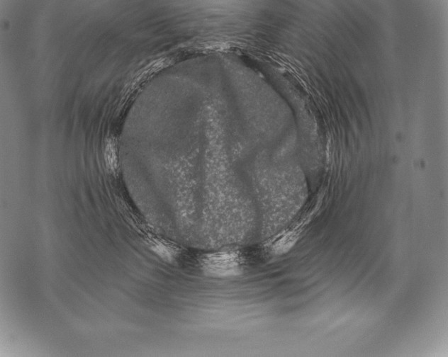 X0000076100335200610152349